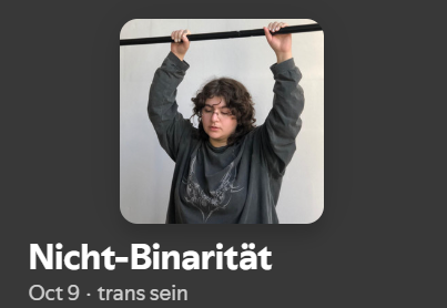 Abgebildet ist der Spotify-Player, der die Folge abspielt.