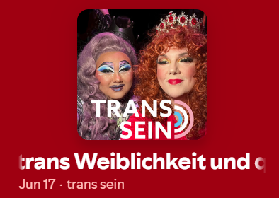 Abgebildet ist der Spotify-Player, der die Folge abspielt.