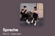 Abgebildet ist der Spotify-Player, der die Folge abspielt.