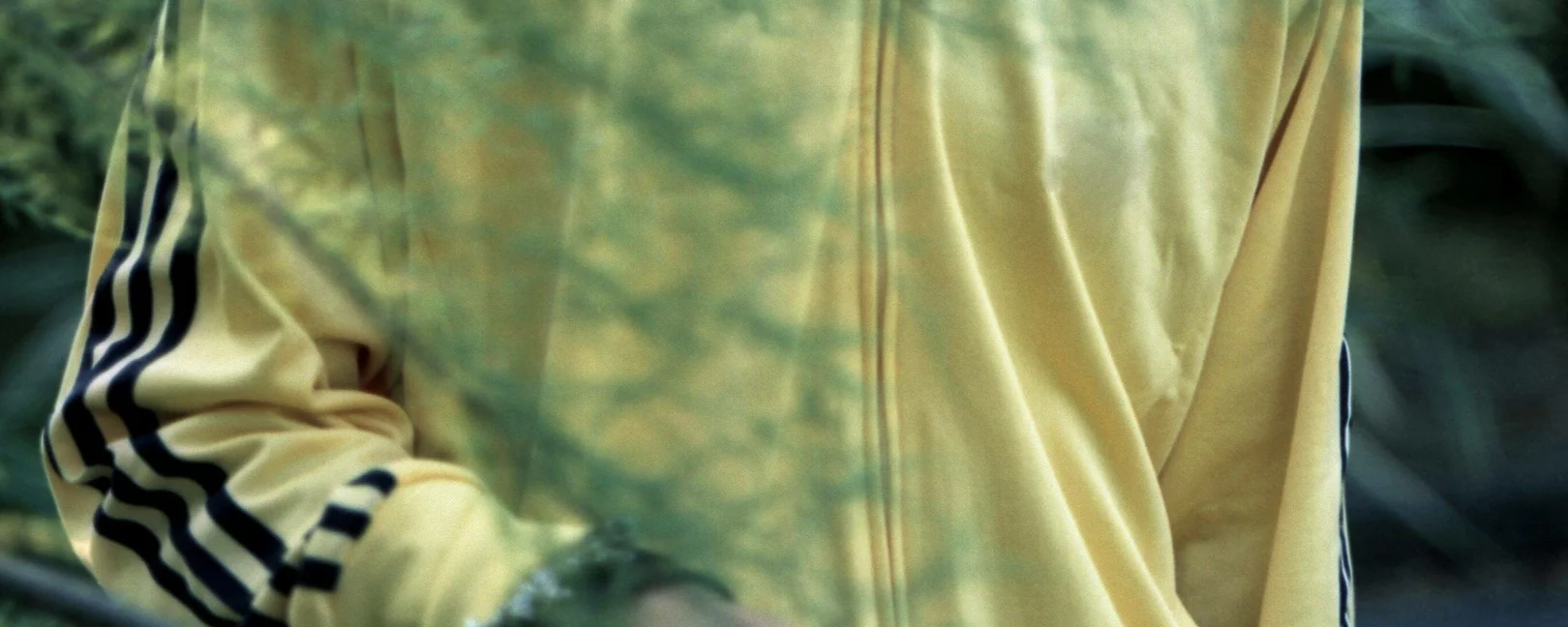 Kalte Farben, Dämmerstimmung. Dünne Äste sind unscharf im Fordergrund erkennbar. Eine männlich gelesene Hand drückt diese runter. Eine schmale Gestalt mit breiten Schultern in gelber Sportjacke.